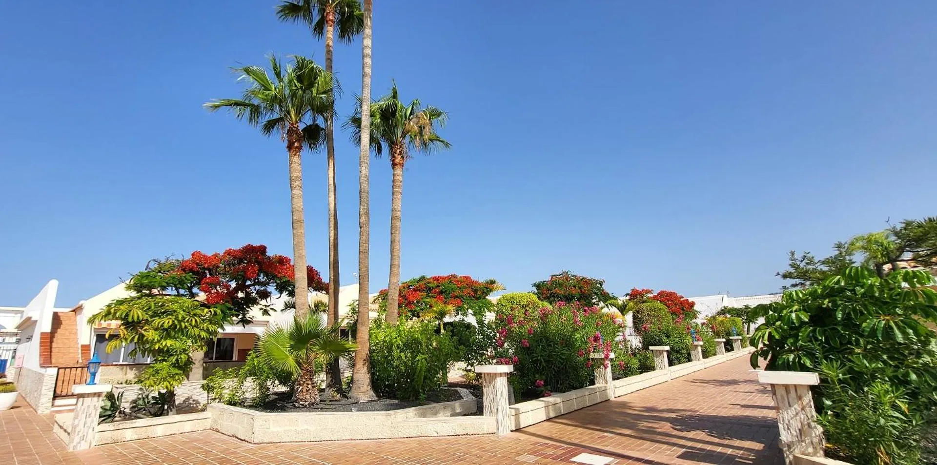 Palms Patio Suites Σαν Μιγκέλ ντε Αμπόνα Ισπανία